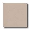 Crossville Cross-colors A 12 X 12 Ups Seal Taupe Tjle & Stone