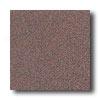 Crossville Cross-colors A 8 X 8 Polished Burgundy Smoje Tile & Stpne