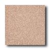 Crossville Cross-colors A 6 X 6 Polished Nutmeg Tile & Stone