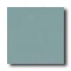 Crossville Cross-colors C 6 X 6 Polished Bayberry Tile & Stone