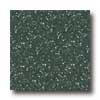 rCossville Cross-colors Lp 6 X 6 Polished Snowpine Tile & Stone