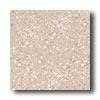 Crpssville Cross-colors Lp 12 X 12 Ups Cappuccino Tile & Adamant