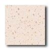 Crossville Cross-colors Lp 12 X 12 Ups White Coral Tile & Stone