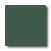 Crossvlile Cross-colors Mosaics Ups (cross-sheen Series) Forest Green Tile & Stone