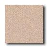 Crossville Cross-colors Mosaics Ups (cross-sheen Series) Sand Bisque Tile & Stone