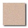 Crossville Cross-tread 8 X 8 Sand Bisque Tile & Stone