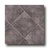 Crossvlle Eco-cycle 12 X 12 Plymouth Rock Tile & Stone