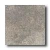 Daltile Alta Vista 12 X 12 Misty Rain Tile & Stone