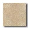 Daltile Alta Vista 18 X 18 Sunset Gold Tile & Stone