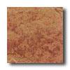 Daltile Ardesia 6 X 6 Arancio Til e& Stone