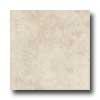 Daltile Brixton 18 X 18 Bone Tile & Stone