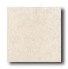 Daltile Calabria 18 X 18 Alfredo Tile & Stone