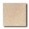 Daltile Calabria 18 X 18 Amaretto Tile & Stone