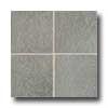 Daltile Castanea 11 X 11 Serena Tile & Stone