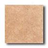 Daltile Catania 18 X 18 Ciccolato Tile & Stone