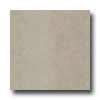 Daltile City View 18 X 18 Skyline Gray Tile & Stone