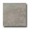 Daltile Cliff Pointe 18 X 18 Rock Tile & Stone