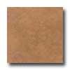 Daltile Precipice Pointe 18 X 18 Redwood Tile & Stone