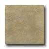 Daltile Cliff Pointe 18 X 18 Moss Tile & Stone