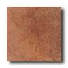 Daltile Cotto Antico 13 X 13 Rosso Tile & Stone