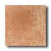 Daltile Cotto Antico 6 X 6 Aranciato Tile & Stone