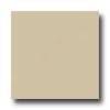 Daltile Design Porcelain Polished 12 X 12 Artico Tile & Stone