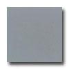 Daltile Design Porcelain Unpolished 12 X 12 Grigio Gandalf Tile & Stone