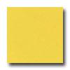 Daltile Design Porcelain Unoolished 12 X 12 Giallo Modena Tile & Stone