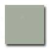 Daltile Design Porcelain Unpolished 12 X 12 Vivanite Tile & Stone