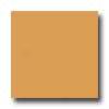 Daltile Sketch Porcelain Polished 12  X12 Pietra Di Single Tile & Stone