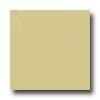 Daltile Design Porcelain Polished 12 X 12 Zolfo Tile & Stone