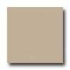 Daltile Design Porcelain Polished 12 X 12 Platino Tile & Stone