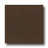 Daltile Design Prcelain Unpolished 12 X 12 Testa Di Moro Tile & Stone