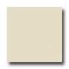 Daltile Design China Unpolished 4 X 4 Diamante Tile & Stone