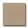 Daltile Design Porcelain Polished 12 X 12 Barite Tile & Stone