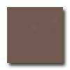 Daltile Design Porcelain Unpolished 8 X 8 Adularia Tile & Stone