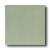 Daltile Designer Colours 8 X 8 Sage Green Tile & Stone