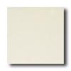 Daaltile Designer Colours 12 X 12 Bisdit Tile & Stone