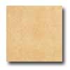 Daltile Diamante Unpolisbed 12 X 12 Ambra Unpolished Tile & Stone