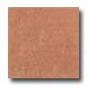 Daltile Diamante Unpolished 12 X 12 Rosso Unpolished Tile & Stone