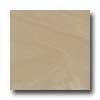 Daltile Era 18 X 18 Unpolished Trias Tile & Stone