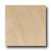 Daltile Era 18 X 18 Unpolished Eos Tile & Stone