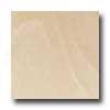 Daltile Era 24 X 24 Unpolished Mesos Tile & Stone