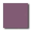 Daltile Festiva 3 X 6 Crocus Tile & Stone