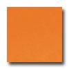 Daltile Festiva 4 1/4 X 4 1/4 Marmalade Tile & Stone