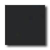 Daltile Festiva 4 1/4 X 4 1/4 Coal Tile & Stone