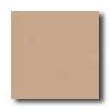 Daltile Festiva 4 1/4 X 4 1/4 Sienna Tile & Stone