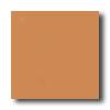 Daltile Festiva 4 1/4 X  41/4 Amber Tile & Stone