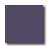 Daltile Festiva 6 X 6 Iris Tile & Stone