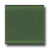 Daltile Glass Reflections 4 X 4 Leafy Green Tile & Stone